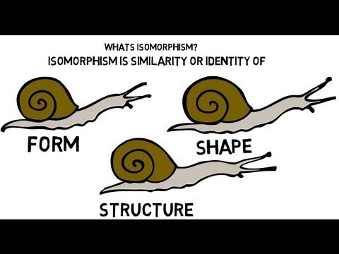 institutional theory