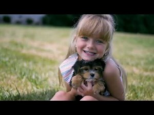 Finding Your Fur-Ever Friend: How to Adopt a Puppy from Charlotte Dog Club