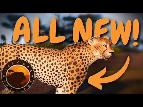 Wild Savanna: CHEETAH & More! ALL You Should Know About The Recode | Wild Savanna