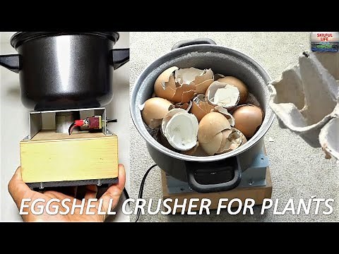 HOMEMADE EGGSHELL CRUSHER FOR PLANTS | HOW TO MAKE 12V DC EGG SHELL GRINDER FOR HOMESTEAD OFF GRID