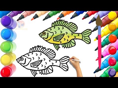 How To Draw cute Fish Drawing, Painting & Coloring For Kids and Toddlers_ Child Art🌈🎨