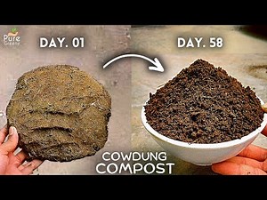 How To Make Cow Dung Compost At Home? (STEP-BY-STEP GUIDE)