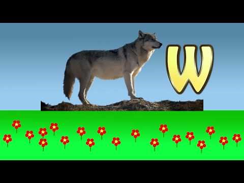 ABC Lied auf Deutsch - Lernlied zum Alphabet lernen