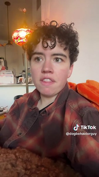 If yelling at your dog to stop barking worked, they wouldn’t keep barking. Here’s what to do instead. #dogbehavior #dogsoftiktok #reactivedog #dog #dogtraining