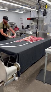 The Bearded Butchers on Reels
