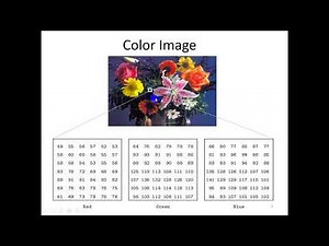 Lecture 12: Image Processing in Matlab