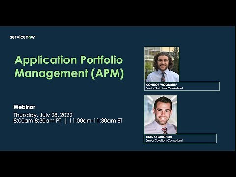Application Portfolio Management (APM)