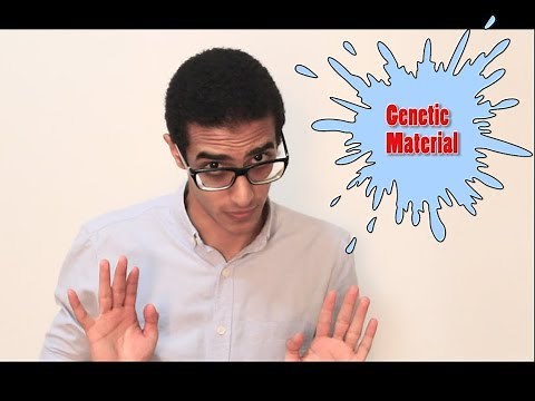 Genetic Material (شرح بالعربي)