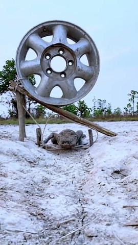 Ingenious Hacks to Build Amazing Animal Traps That Actually Work: Proven Techniques!