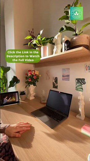 Gentle Productivity: Soft Relaxing Music for Work 🎧💼