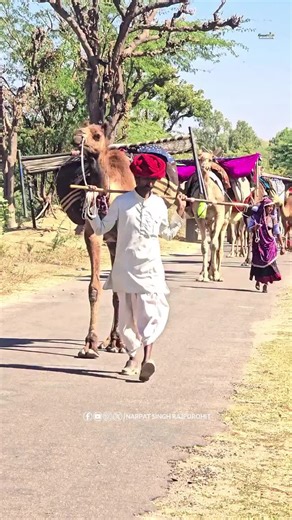 Exploring Life in Tharparkar Village