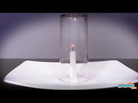32 Cool Science Experiments to do at Home - Science Projects for Kids | Educational Videos by Mocomi