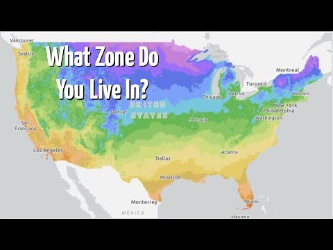 USDA Plant Hardiness Zones Explained! (And Growing Zones All Around the World!)