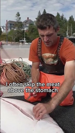 How to filet a Halibut