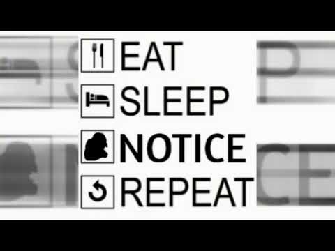 Safe And Sound (Hardstyle Remix) I Pattern Recogintion