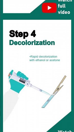 Gram staining explained in 1 minutes | Principles of gram staining | 1 minute microbiology