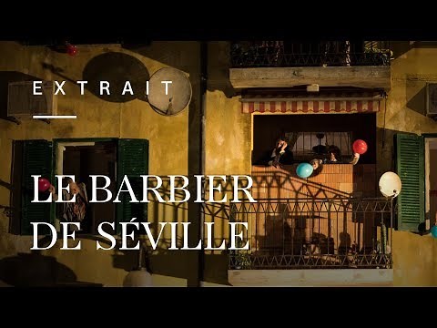 The Barber of Seville by Gioacchino Rossini (Olga Kulchynska)
