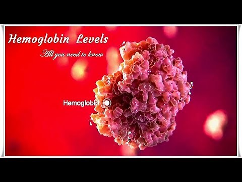 Hemoglobin – Low and High Levels, Normal Range