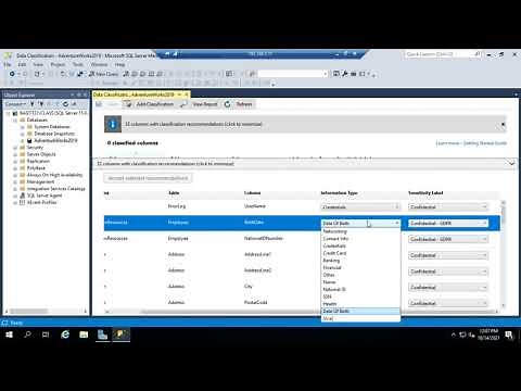 SQL data classification and reporting