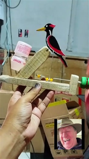 Homemade Bird Scarer Is Too Funny to Watch