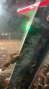 This just in—Louisiana is witnessing something unbelievable as reports keep pouring in from Baton Rouge where massive invasive crawfish have completely taken over a gas station on Airline Highway in a way officials say they are absolutely not prepared for addressing tonight. The infestation is blocking all pumps and trapping customers inside their cars. We are advising everyone to avoid Airline Highway until further notice. These animals can pinch through skin and are acting extremely aggressive