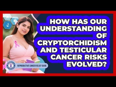 How Has Our Understanding Of Cryptorchidism And Testicular Cancer Risks Evolved?