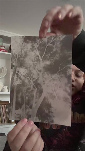 Pinhole Camera Experiments Part 2 Revealed