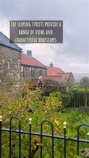 17K views · 239 reactions | Check out this video taking a closer look...