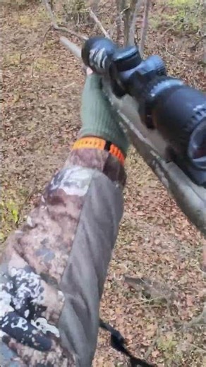 Indiana Big Buck .308 Heart Shot!