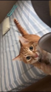 852 reactions |  Tired of fumbling with keys when guests arrive? The...