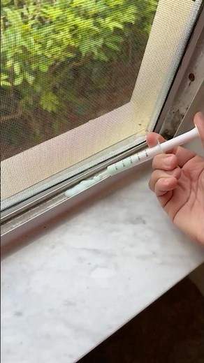 Stop Bugs With This Simple Kitchen Hack! #pestcontrol