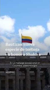 New fossil species named after Shakira: this is what Shakiremys looked like