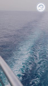 Bringe deine kulinarische Expertise an Bord und leite bis zu 3 Outlets in der Galley. | sea chefs - Jobs auf Kreuzfahrtschiffen | Facebook