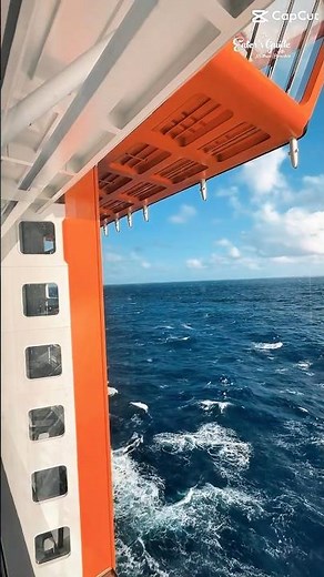 FIRST DAY on Celebrity Xcel 🚢 PURE PARADISE! #CelebrityCruises #CelebrityXcel #CruiseLife