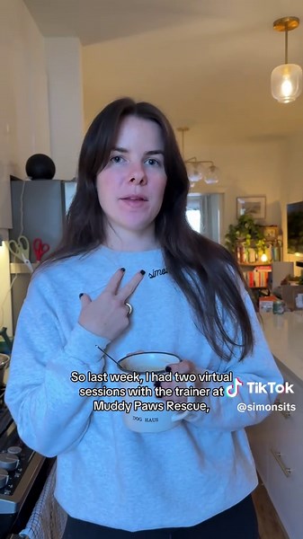 Whimsy Thrives with New Routines at Muddy Paws Rescue