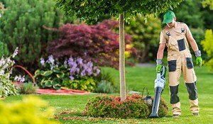 How To Use A Leaf Blower: 11 Tips and Tricks