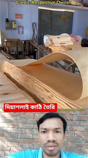 See How Matchsticks are Made