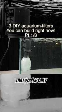 DIY fish tank filter - aquarium fish #fishkeepinghobby #fishtank