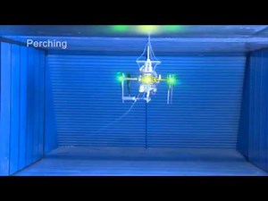 SpiderMAV: Micro Aerial Vehicles With Bio-inspired Tensile Anchoring Systems