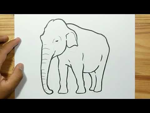 How to draw ASIAN ELEPHANT with easy