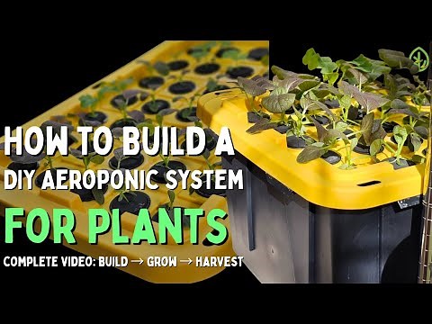 How to Build a DIY Aeroponic System — Complete Build, Grow & Harvest Guide!
