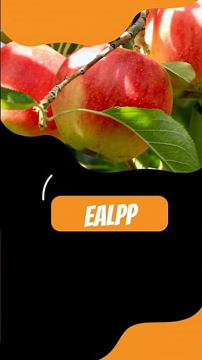 unscramble words | jumble words | Fun Word Puzzle: Unscramble and Learn New Words!