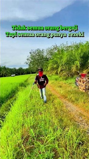 Racing Tank Rice Pest Spray