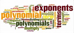 Chapter 5: Introduction to Polynomials