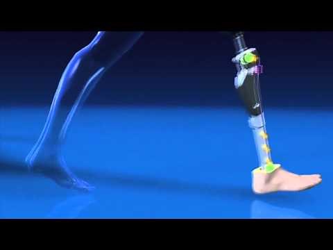 How the C Leg Works