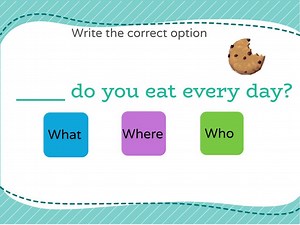 W's and H's Questions