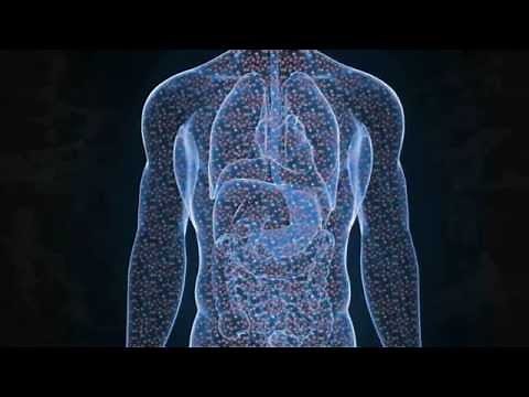 What is Clostridium Difficile (C-Diff)?