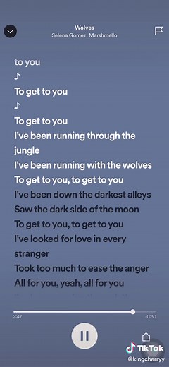 Selena Gomez ft Marshmello - Wolves Song with Lyrics