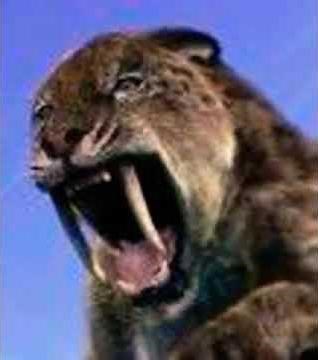 Sabertooth Tiger Roar 🐅 🔊