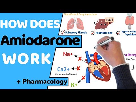 How does Amiodarone Work? (+ Pharmacology)